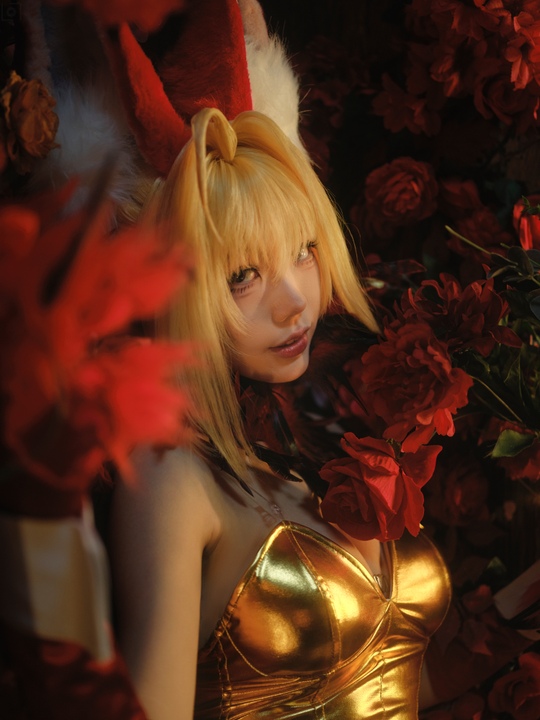 湖里狸 尼禄.jpg